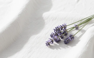 Perspirex Loción: La solución definitiva para la hiperhidrosis en manos y pies